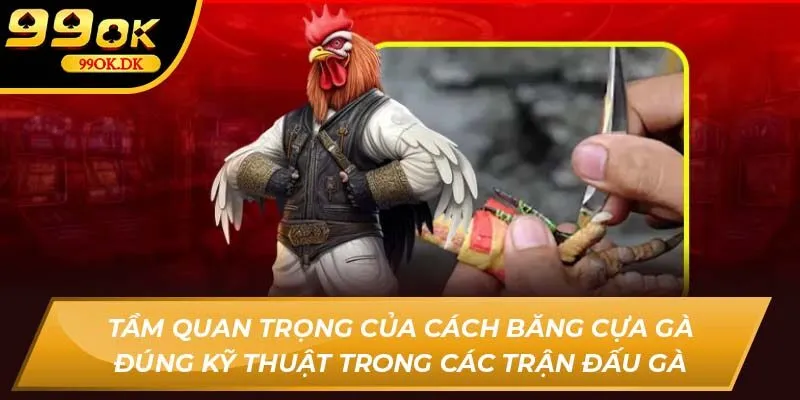 Tầm quan trọng của cách băng cựa gà đúng kỹ thuật trong các trận đấu gà 99OK
