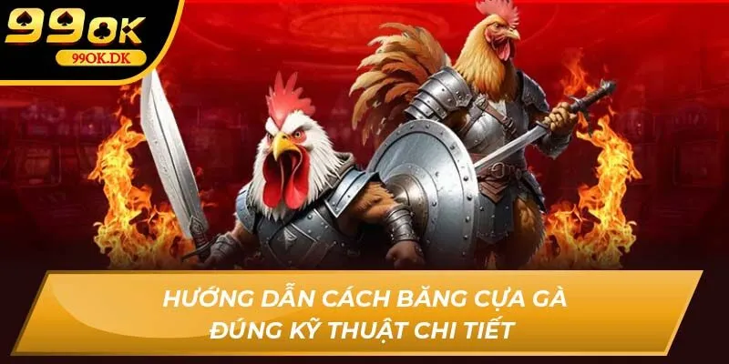 Hướng dẫn cách băng cựa gà đúng kỹ thuật 99OK chi tiết 