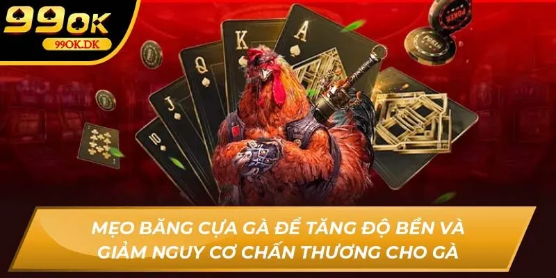 Mẹo băng cựa gà để tăng độ bền và giảm nguy cơ chấn thương cho gà 99OK